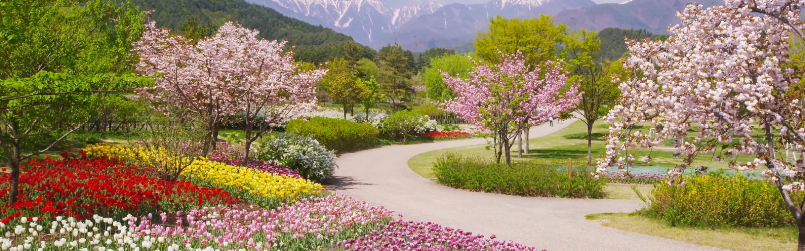 Best Parks and Gardens in Mumbai for a Calm Escape