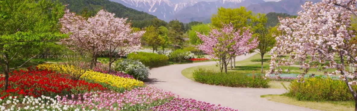 Best Parks and Gardens in Mumbai for a Calm Escape