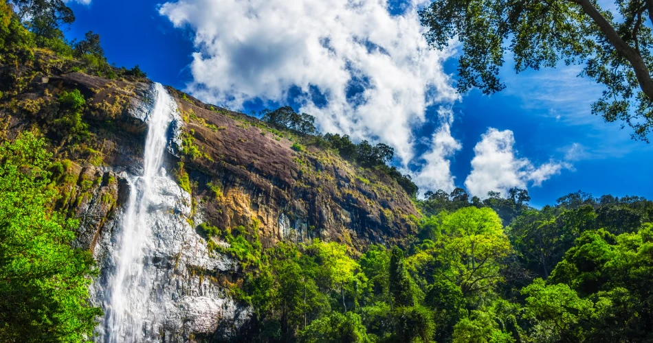 Waterfall Rappelling Adventures Around Mumbai