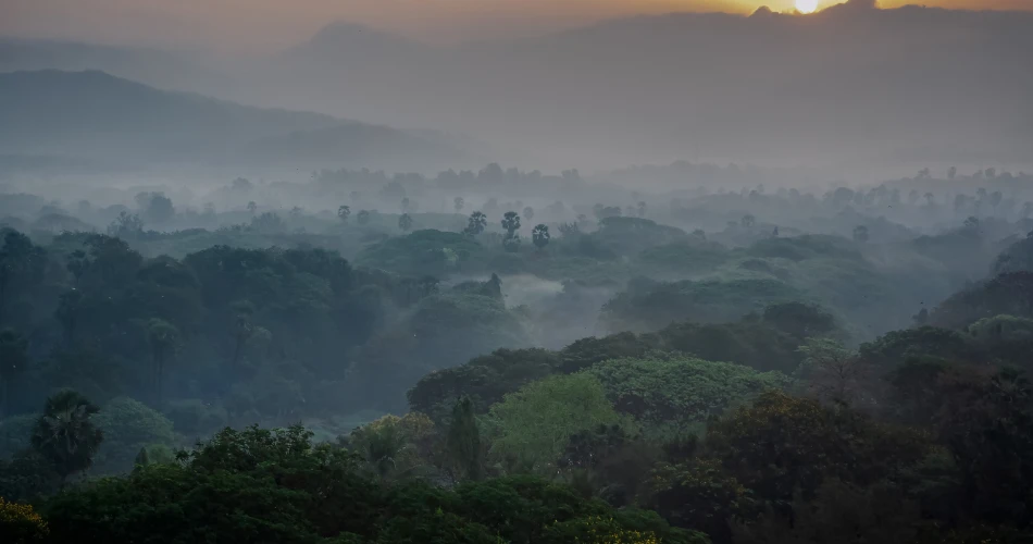 Best Parks and Gardens in Mumbai for a Calm Escape
